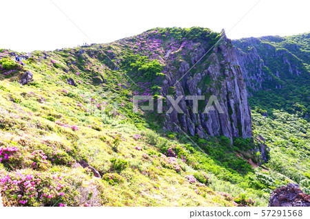 漢拏山，山，登山，森林，山，森林，森林，杜鵑花，奇怪的岩層，Youngsil當然，eorimok， 57291568
