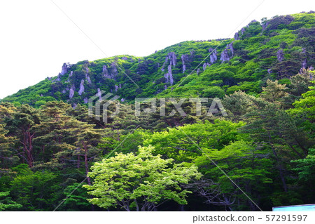 漢拏山，山，登山，森林，山，森林，森林，杜鵑花，奇怪的岩層，Youngsil當然，eorimok， 57291597