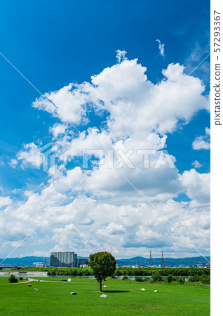 Summer scenery of Yodogawa River Park Summer scenery of Yodogawa River Park 57293367