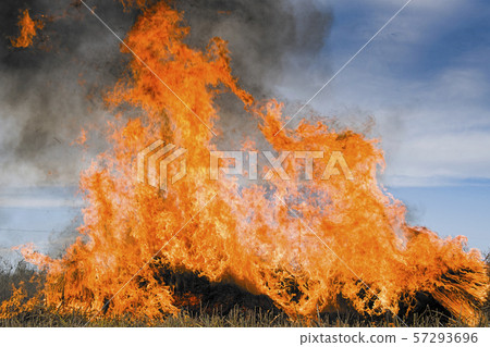 burning straw 57293696
