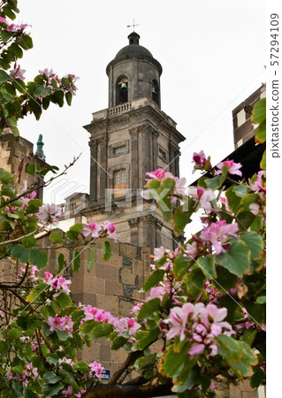 西班牙領土,加那利群島,大加那利島,拉斯帕爾馬斯,大教堂 西班牙領土,加那利群島,大加那利島,拉斯帕爾馬斯,大教堂 57294109