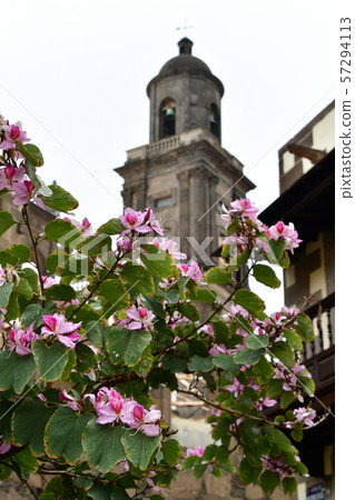 Spanish territory, Canary Islands, Gran Canaria, Las Palmas, Cathedral Spanish territory, Canary Islands, Gran Canaria, Las Palmas, Cathedral 57294113