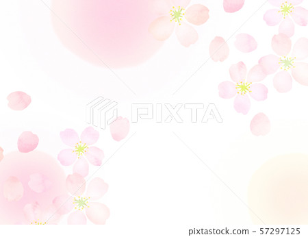Sakura watercolor style texture 57297125