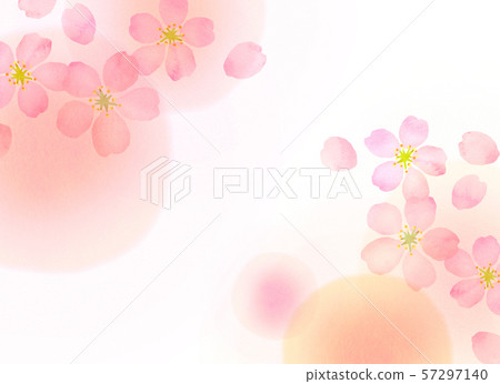 Sakura watercolor style texture 57297140