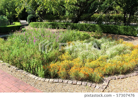 神戶小學院 57307476