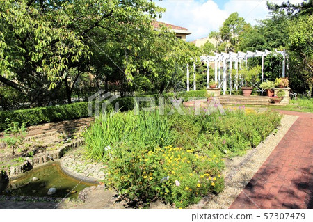 神戶小學院 神戶小學院 57307479