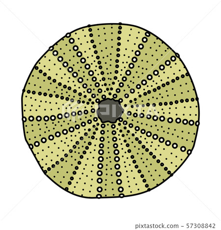 vector sea beach object clipart 57308842