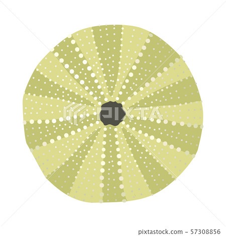 vector sea beach object clipart 57308856