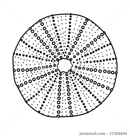 vector sea beach object clipart 57308884