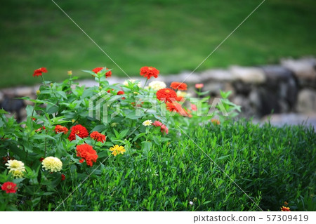 Landscape with Flowers, Garden 57309419
