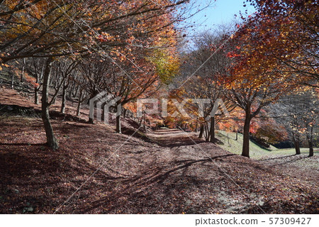 Minowa dam, maple lake view 57309427