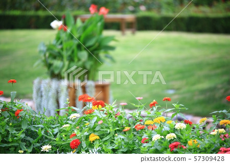 Landscape with Flowers, Garden 57309428