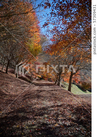 Minowa dam, maple lake view 57309431