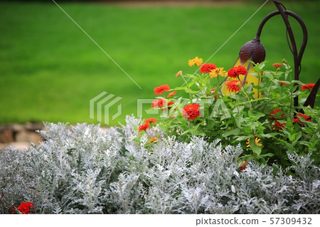 Landscape with Flowers, Garden 57309432