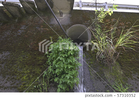 Sewage drain Sewage drain 57310352