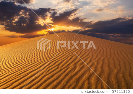 Sunset over the sand dunes in the desert 57311330