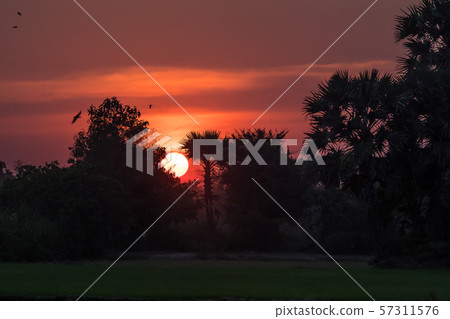 Sunset in tropical rural district, Siem Reap, Cambodia Sunset in tropical rural district, Siem Reap, Cambodia 57311576
