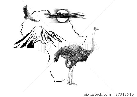 Ostrich on Africa map background with Kilimanjaro Ostrich on Africa map background with Kilimanjaro 57315510