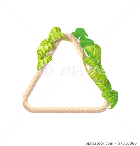 vector tropical frame clip art 57316060