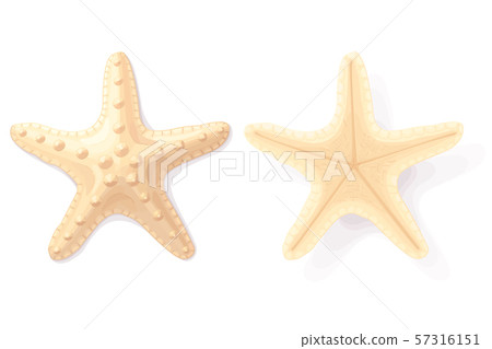 vector sea beach object clipart vector sea beach object clipart 57316151