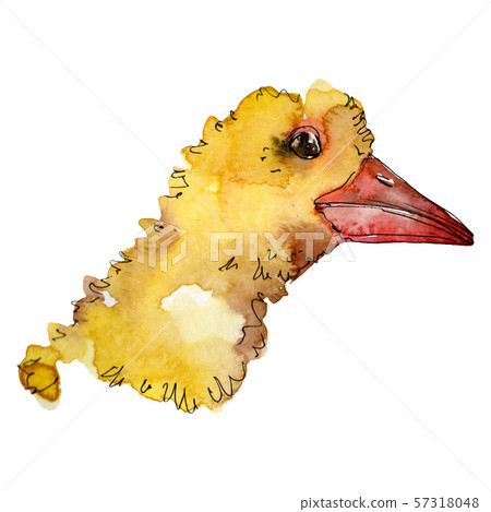 Duckling head farm bird isolated. Watercolor background illustration set. Isolated duck illustration 57318048
