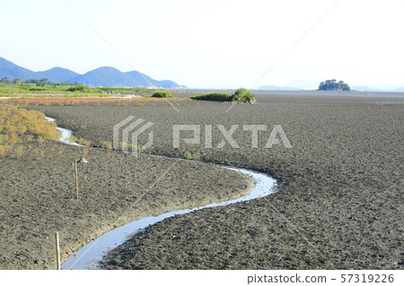 Tidal-Landscape, Chinese Noodles, Plant 57319226