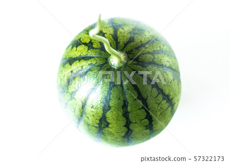 西瓜Kodama,Himekansen 西瓜Kodama,Himekansen 57322173