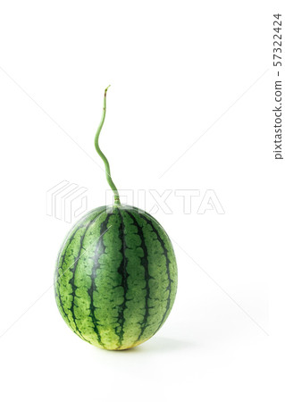 Watermelon Kodama, Himekansen Watermelon Kodama, Himekansen 57322424