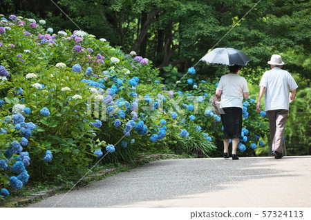 成熟的夫婦 57324113