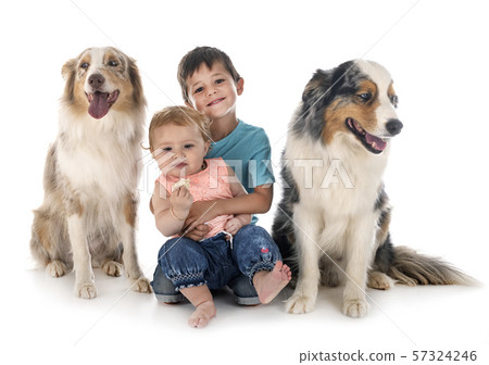 childs and dogs 57324246