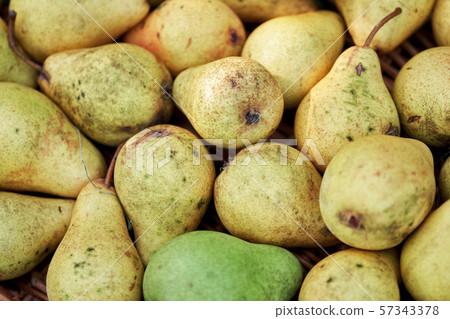 Background made from the yellow country ripe pears Background made from the yellow country ripe pears 57343378