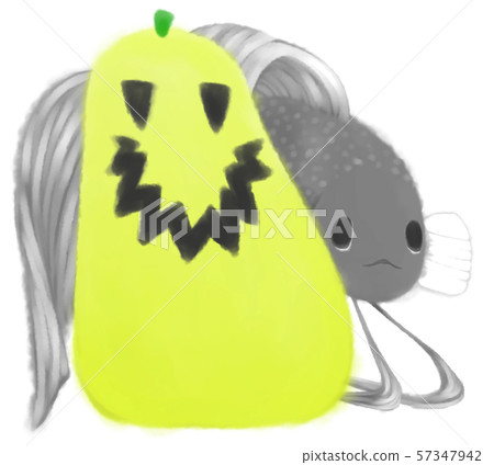 Black Solid and Jack O Lantern (Yellow) 57347942