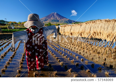 收穫秋天，卡卡西和富士 57348069