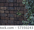 Brick 57350243