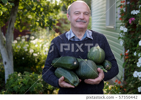 Senior hispanic man holding fresh vegetable 57350442