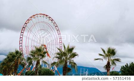 Green tropical palm tree with big ferris wheel and sky Green tropical palm tree with big ferris wheel and sky 57351456