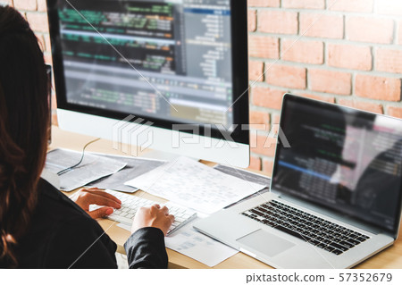 Developing programmer Development Website design 57352679