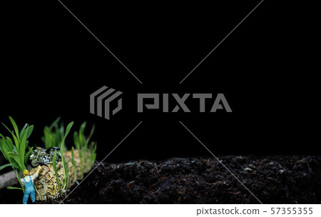 Miniature toy and new born with plant and tree. Miniature toy and new born with plant and tree. 57355355