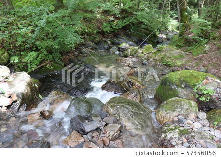 Yokogawa Gorge (Chino Town, Nagano Prefecture) Yokogawa Gorge (Chino Town, Nagano Prefecture) 57356056
