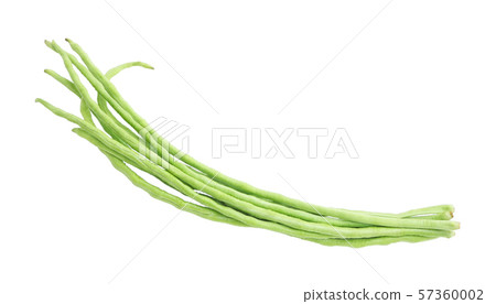 Fresh bunch green yard long bean on white background. 57360002
