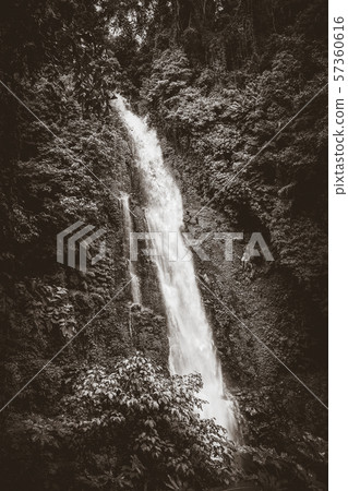 Melanting Waterfall, Munduk, Bali, Indonesia Melanting Waterfall, Munduk, Bali, Indonesia 57360616