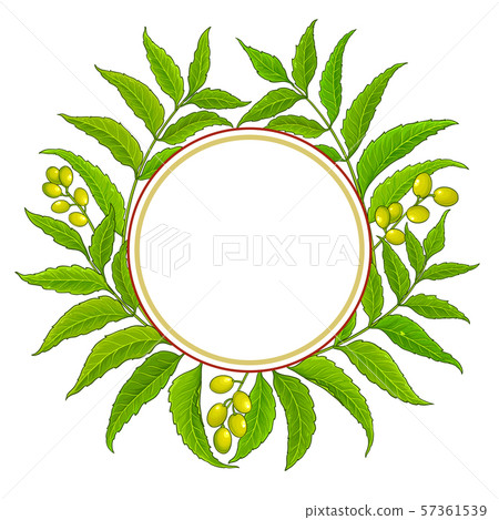 neem vector frame neem vector frame 57361539