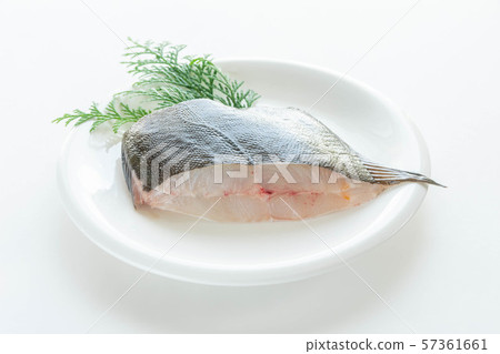 Macawley魚片 57361661