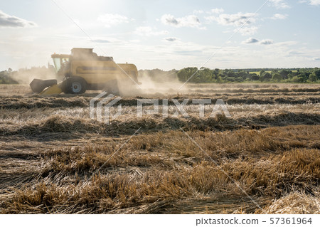 Toned photo of wheat field working combine harvester. Toned photo of wheat field working combine harvester. 57361964
