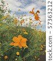Fall cherry tree 2 57363212