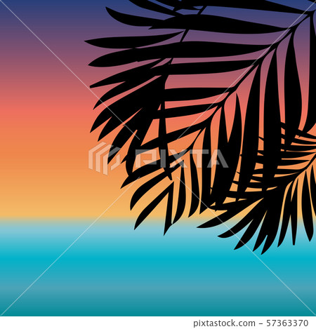 Leaves palm silhouette nature background 57363370