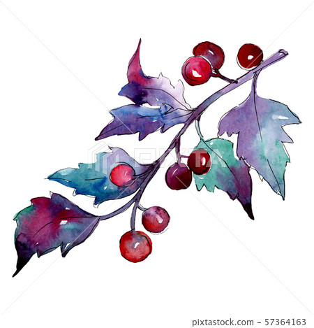 Christmas winter holiday symbol in a watercolor style isolated. Aquarelle christmas card for 57364163