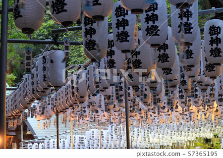 Lantern Festival 57365195