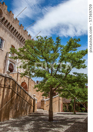 Alley with trees and facade of the Grimaldi Castle in Haut-de-Cagnes 57369709
