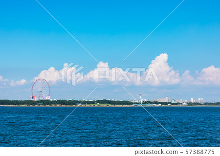 (Tokyo-city view) Kasai Rinkai Park side view under the summer sky 3 57388775